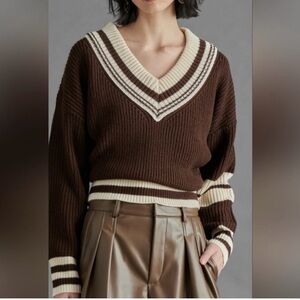 Steve Madden Chocolate and Cream V-Neck Sweater